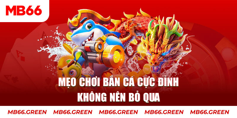 vip666 casino ở đâu