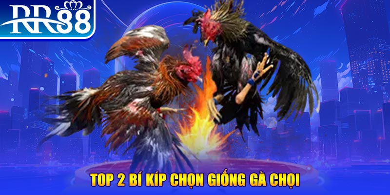 vip666 đăng nhập roulette dễ thắng
