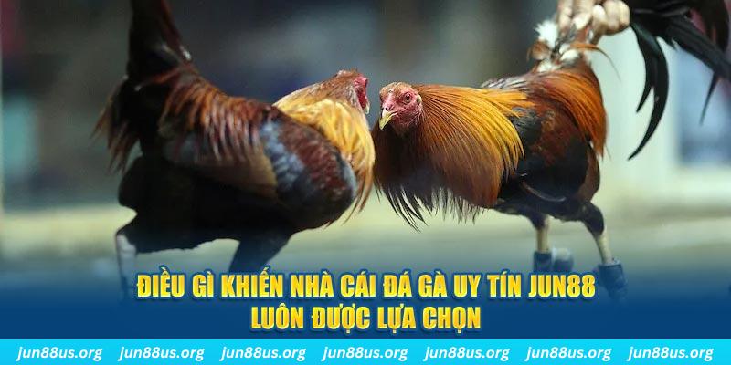 vip666 qq88 nổ hũ bắn cá