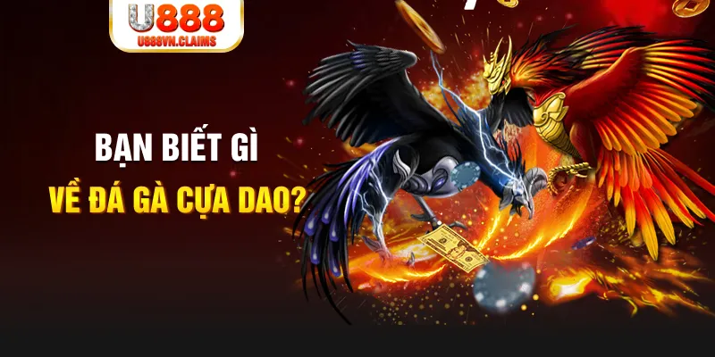 vip666 xổ số kiến thiết