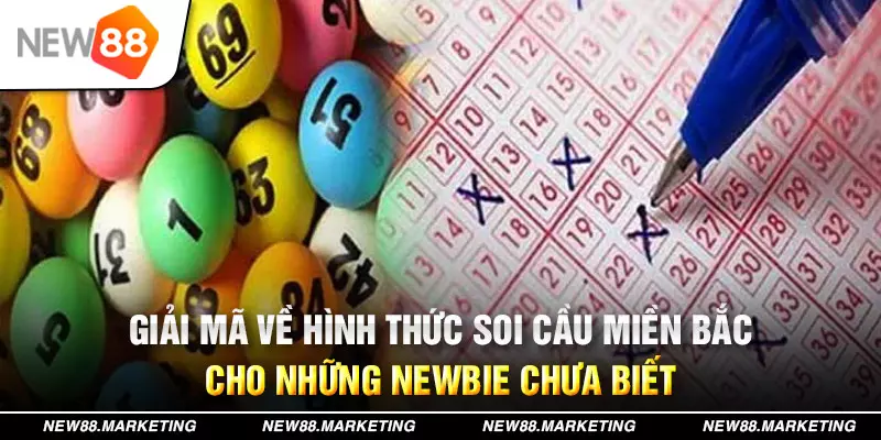 vip666 đăng nhập mậu binh live