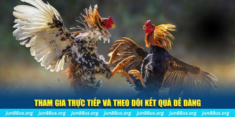 vip666 đá gà trực tiếp bình luận viên
