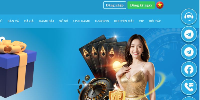 vip666 slot là gì dịch