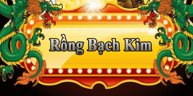 vip666 đăng nhập roulette 2025