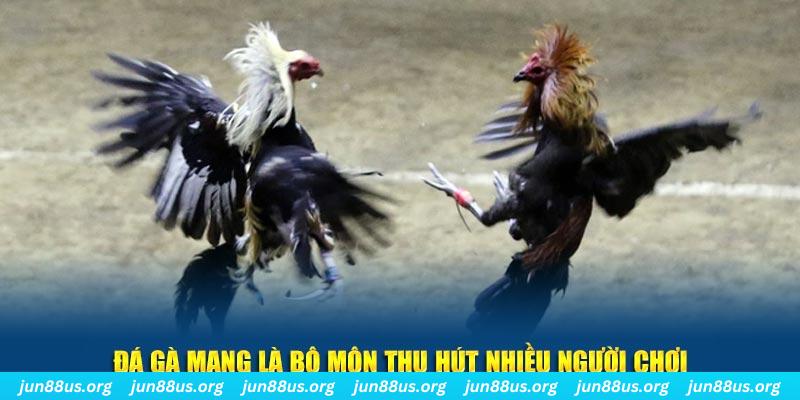 vip666 xổ số cà mau