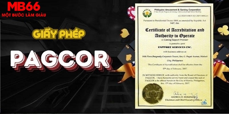 vip666 trong baccarat, ai là người chia bài chính？