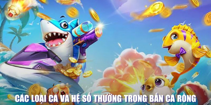 vip666 loi game dot kich ket noi may chu that bai