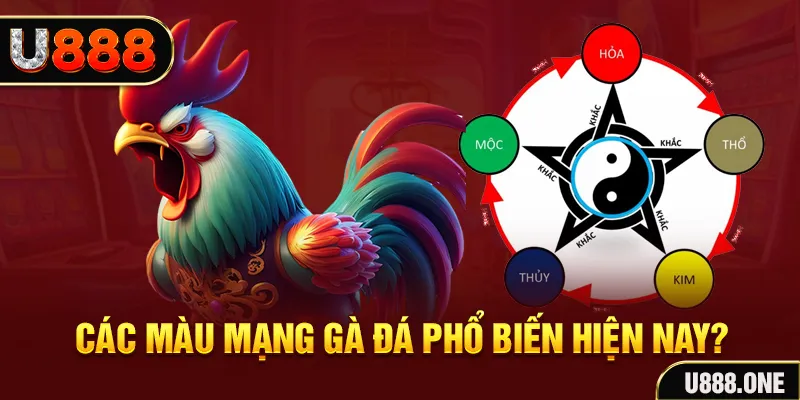 vip666 đăng nhập mậu binh