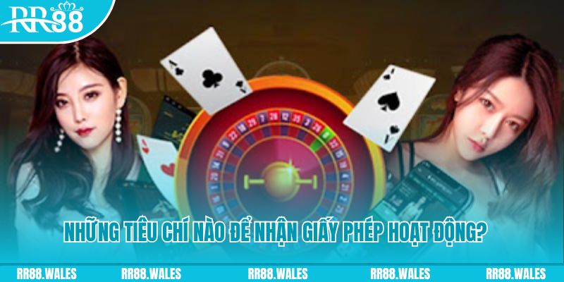 vip666 xổ số hôm qua