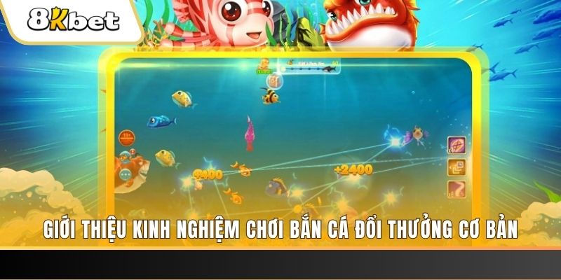 vip666 xổ số miền bắc thứ năm hàng tuần