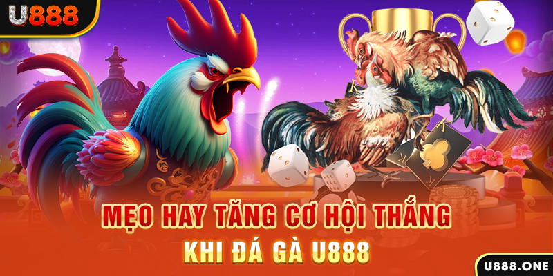 vip666 trực tiếp gà chọi c1