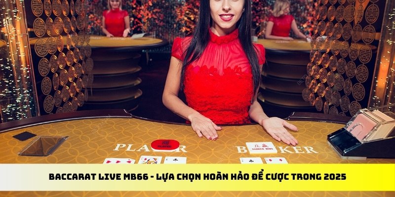 vip666 how to win baccarat