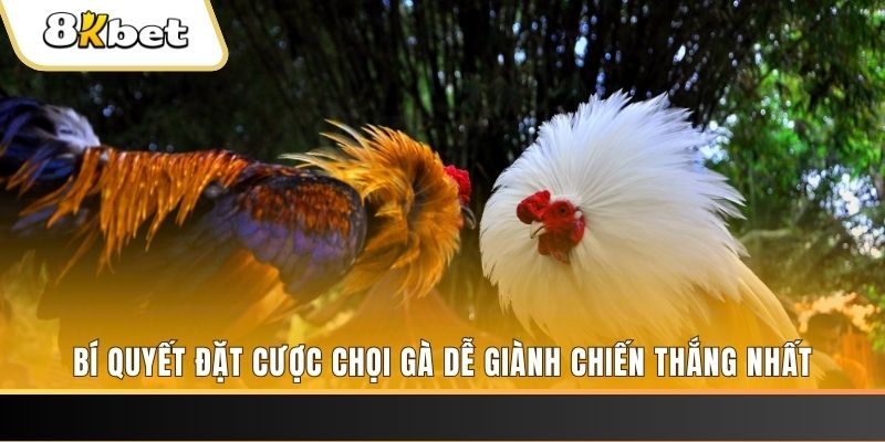 Tài Xỉu 2