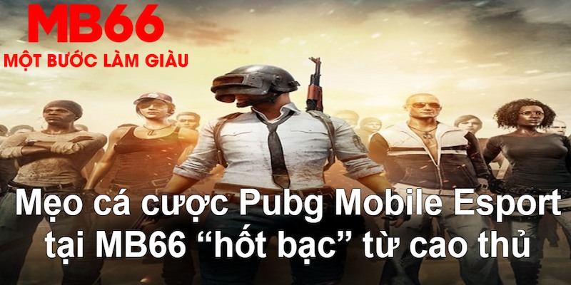 vip666 gà chọi mộc hóa
