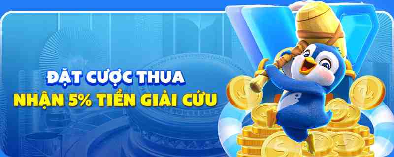 vip666 gà chọi cu cần