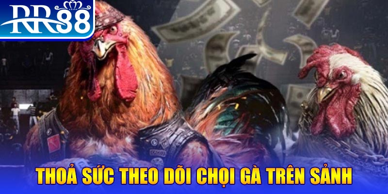 vip666 đá gà 88.com