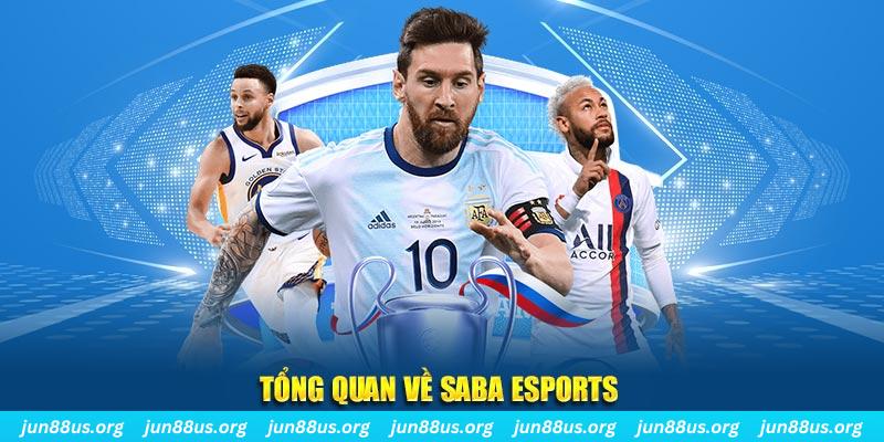 vip666 gà chọi c1 tv trực tiếp hôm nay